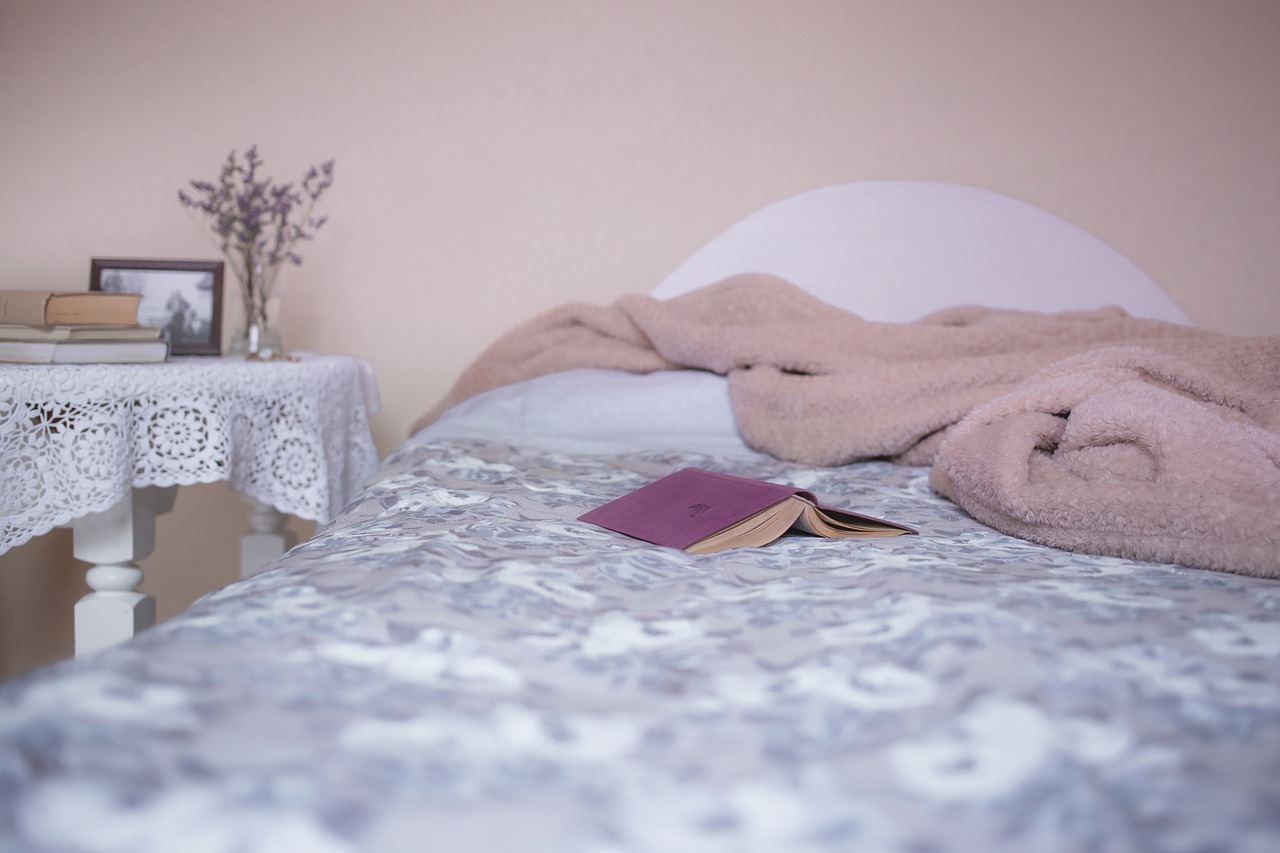 Lire la suite à propos de l’article Traitement Anti-Punaise-de-Lit Désinfection Puce-de-Lit Paris
